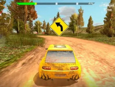 Dirt Rally